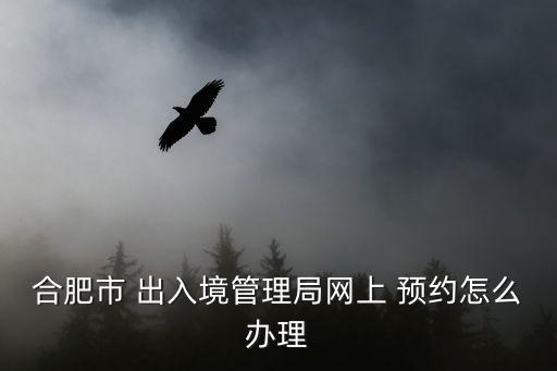 合肥市 出入境管理局網(wǎng)上 預約怎么辦理
