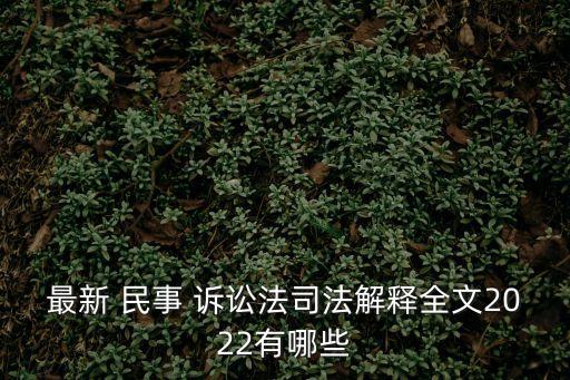 最新 民事 訴訟法司法解釋全文2022有哪些