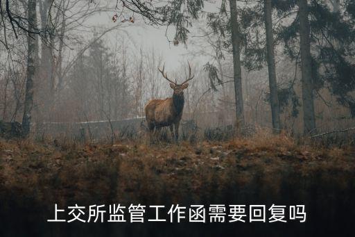 上交所監(jiān)管工作函需要回復(fù)嗎