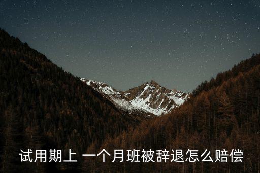  試用期上 一個(gè)月班被辭退怎么賠償