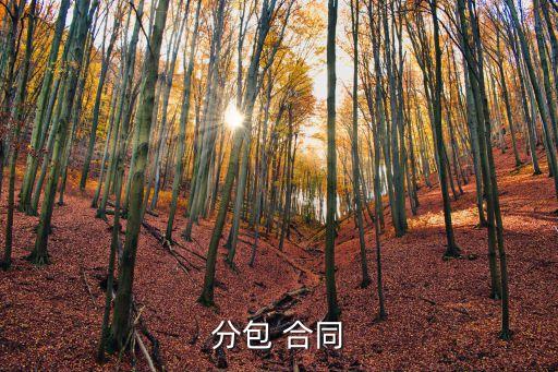分包 合同