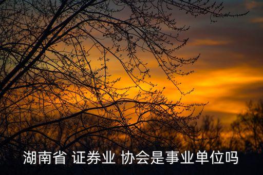 湖南省 證券業(yè) 協(xié)會是事業(yè)單位嗎