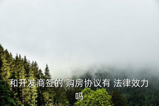 和開發(fā)商簽的 購房協(xié)議有 法律效力嗎