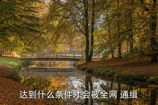 達到什么條件才會被全網(wǎng) 通緝