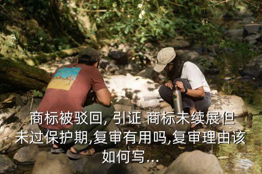 引證商標