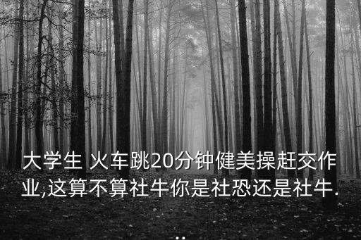 火車上被操