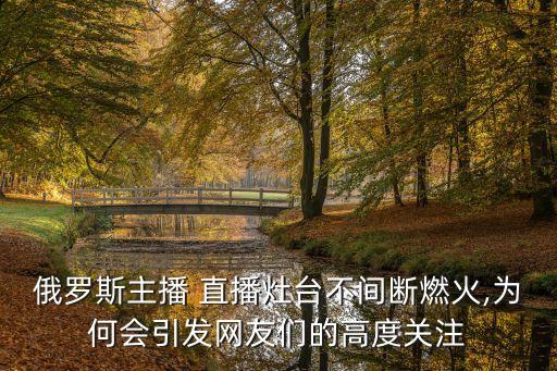 俄羅斯主播 直播灶臺不間斷燃火,為何會引發(fā)網(wǎng)友們的高度關注