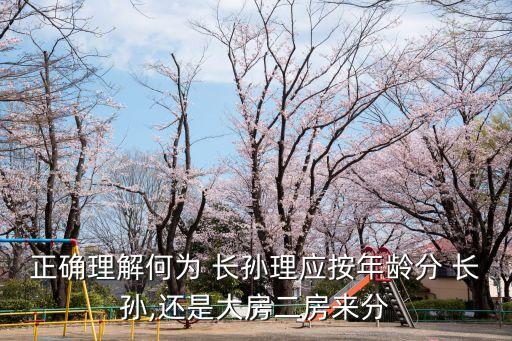 長孫是什么意思,次子的兒子大是長孫嗎