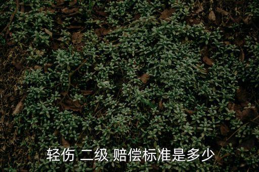 輕傷 二級 賠償標(biāo)準(zhǔn)是多少