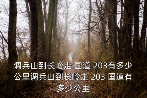 調(diào)兵山到長(zhǎng)嶺走 國(guó)道 203有多少公里調(diào)兵山到長(zhǎng)嶺走 203 國(guó)道有多少公里