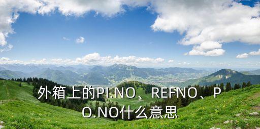 外箱上的PI.NO、REFNO、PO.NO什么意思