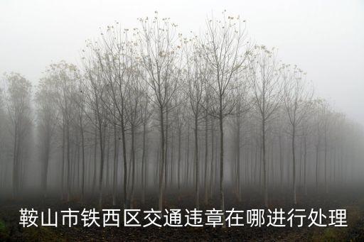 鞍山市鐵西區(qū)交通違章在哪進行處理