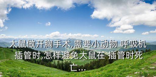 大鼠做開胸手術,需要小動物 呼吸機 插管時,怎樣避免大鼠在 插管時死亡...