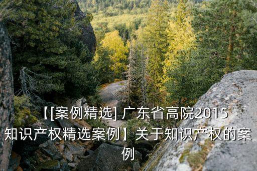 【[案例精選] 廣東省高院2015知識產(chǎn)權(quán)精選案例】關(guān)于知識產(chǎn)權(quán)的案例