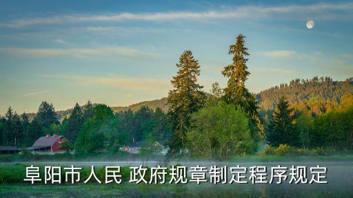 政府令的名稱要求