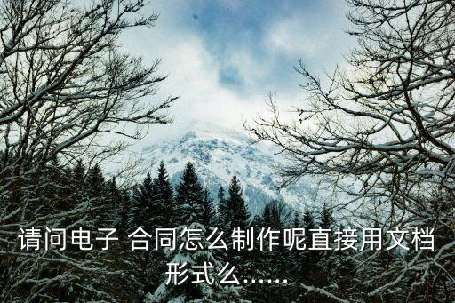 請問電子 合同怎么制作呢直接用文檔形式么……