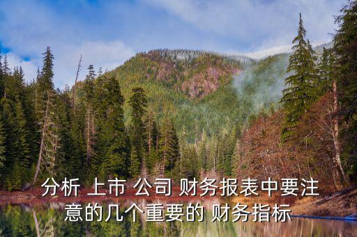 上市公司財(cái)務(wù)分析,美的集團(tuán)2021年財(cái)務(wù)分析報(bào)告