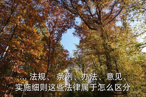 條例屬于法規(guī)還是規(guī)章,職工帶薪年休假條例屬于法規(guī)還是規(guī)章