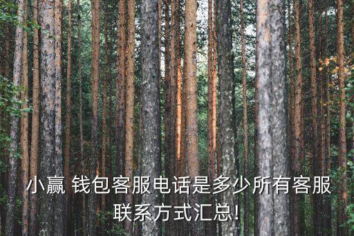 小贏 錢包客服電話是多少所有客服聯(lián)系方式匯總!