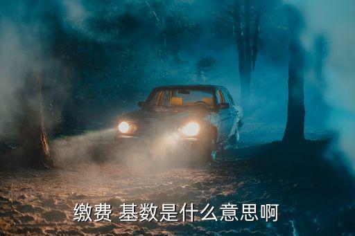 繳費(fèi) 基數(shù)是什么意思啊