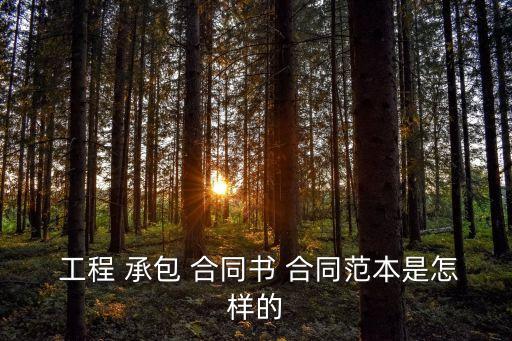 工程承包合同怎么寫的,工程報告怎么寫