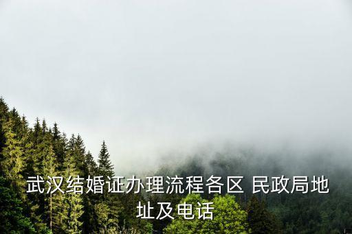  武漢結(jié)婚證辦理流程各區(qū) 民政局地址及電話