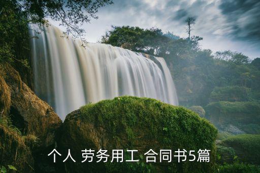 企業(yè)與個(gè)人簽訂的勞務(wù)合同范本,企業(yè)勞務(wù)合同范本(全、經(jīng)典)