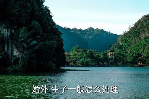 婚外生子