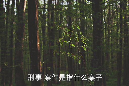 刑事案件
