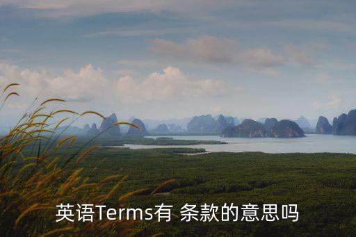 英語Terms有 條款的意思嗎