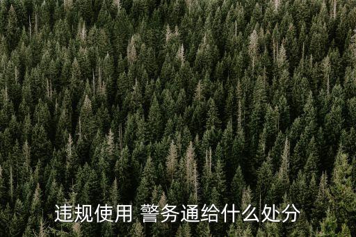 違規(guī)使用 警務(wù)通給什么處分