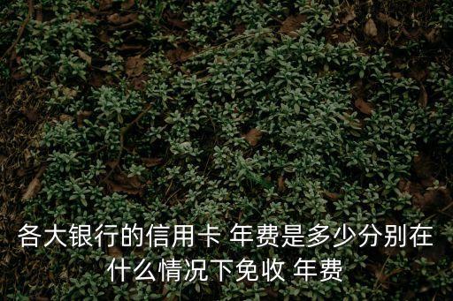 各大銀行的信用卡 年費是多少分別在什么情況下免收 年費