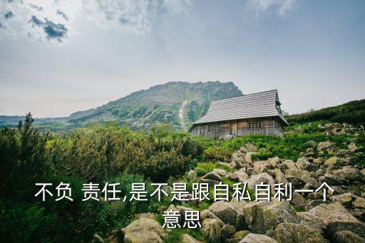 不負(fù)責(zé)任