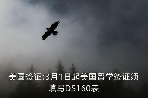 ds160表格