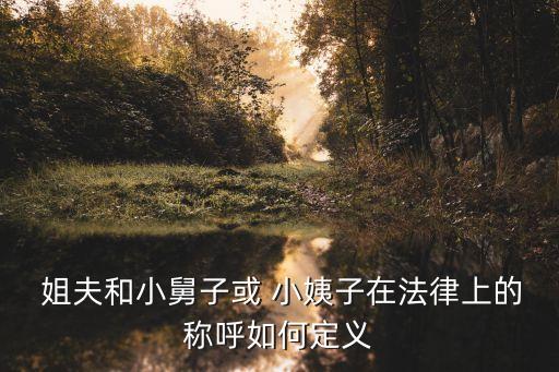  姐夫和小舅子或 小姨子在法律上的稱呼如何定義