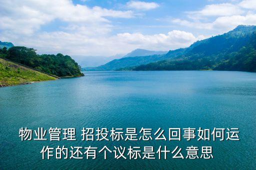  物業(yè)管理 招投標(biāo)是怎么回事如何運作的還有個議標(biāo)是什么意思