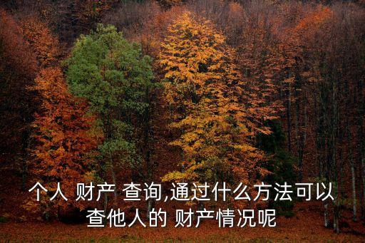 個人 財產 查詢,通過什么方法可以查他人的 財產情況呢