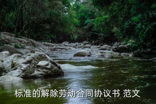 離職聲明書(shū)范文,公司員工離職聲明