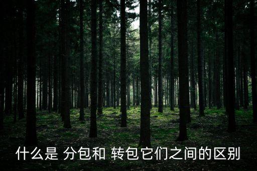 轉(zhuǎn)包和分包的區(qū)別,建筑工程轉(zhuǎn)包和分包的區(qū)別