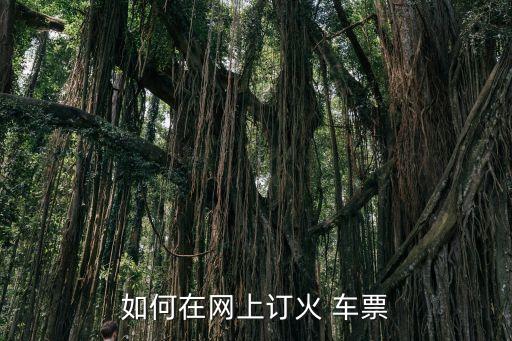 如何在網(wǎng)上訂火 車票