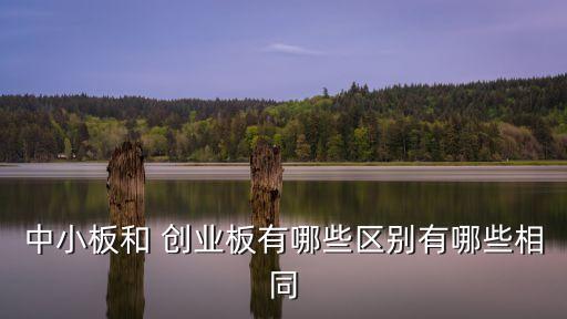 中小板和 創(chuàng)業(yè)板有哪些區(qū)別有哪些相同