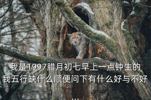 我是1997臘月初七早上一點(diǎn)鐘生的我五行缺什么順便問(wèn)下有什么好與不好...