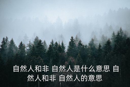  自然人和非 自然人是什么意思 自然人和非 自然人的意思