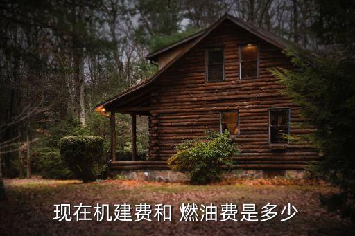 基建燃油,機(jī)建燃油費(fèi)是一定要交的嗎