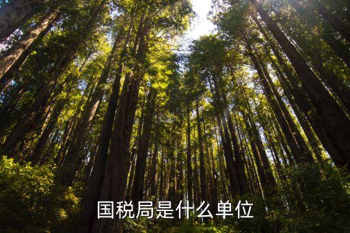 國稅局是什么單位