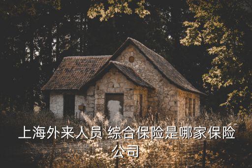  上海外來人員 綜合保險是哪家保險公司