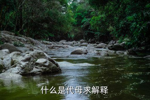什么是代母求解釋