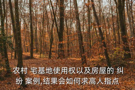  農(nóng)村 宅基地使用權(quán)以及房屋的 糾紛 案例,結(jié)果會如何求高人指點(diǎn)