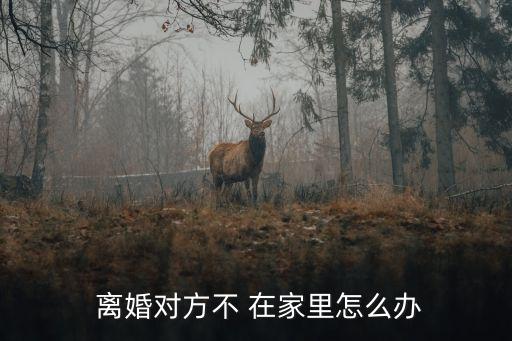 一方不在家可以協(xié)議離婚嗎