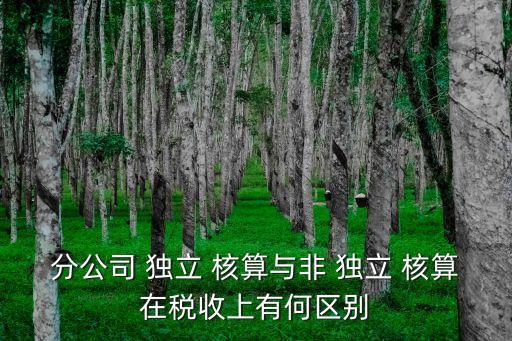 分公司 獨立 核算與非 獨立 核算在稅收上有何區(qū)別